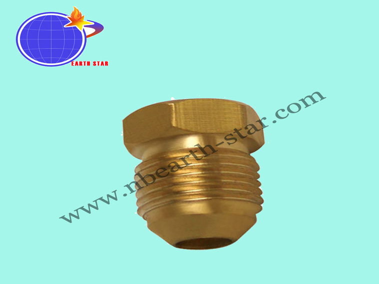 Brass nuts ESFI-007